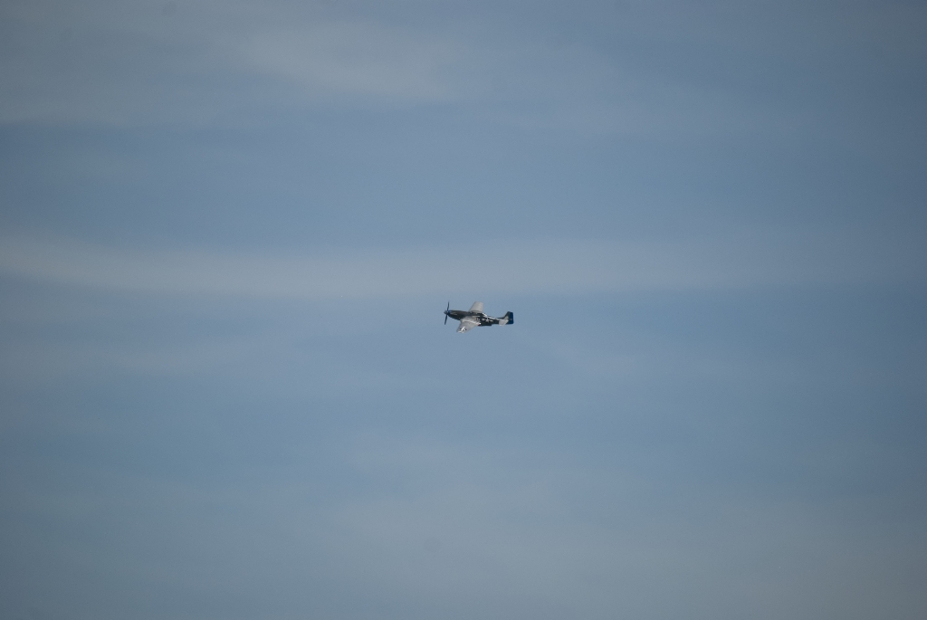 DSC_3592.jpg